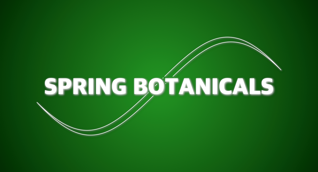spring botanicals logo
